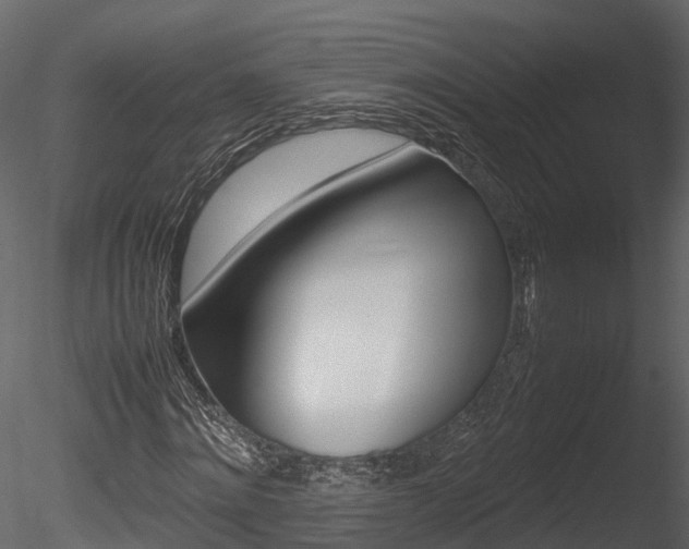 X0000085730868200703160834