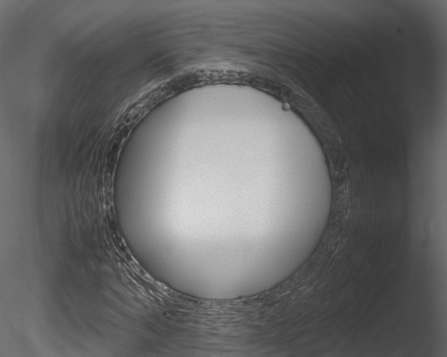 X0000085730870200703160834