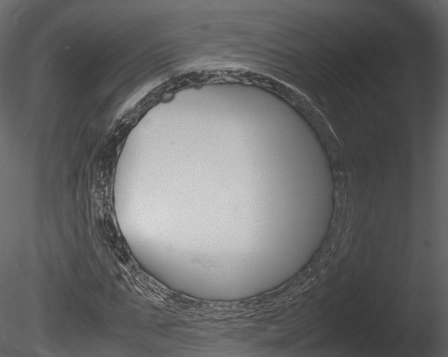 X0000085730871200703160834