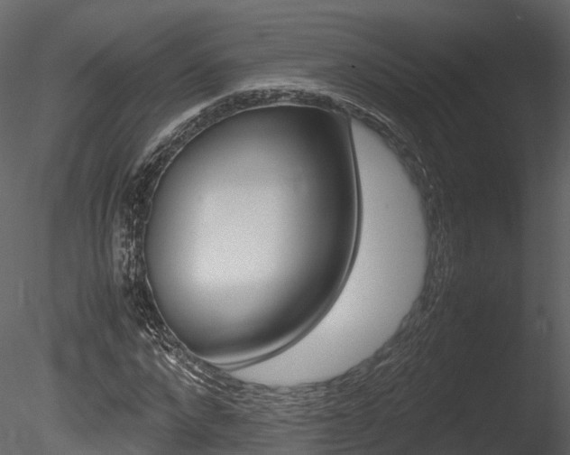 X0000085730872200703160834