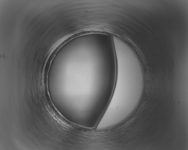 X0000085730884200703160833