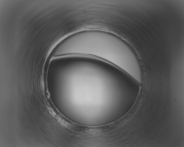 X0000085730888200703160833