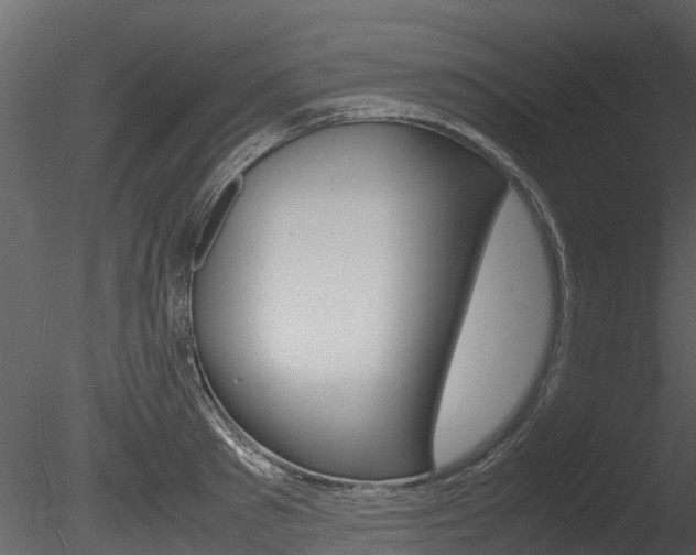 X0000085730897200703160833