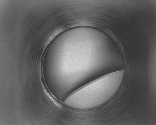 X0000085730898200703160833