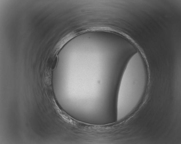X0000085730905200703160833