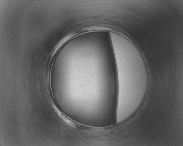 X0000085730909200703160833