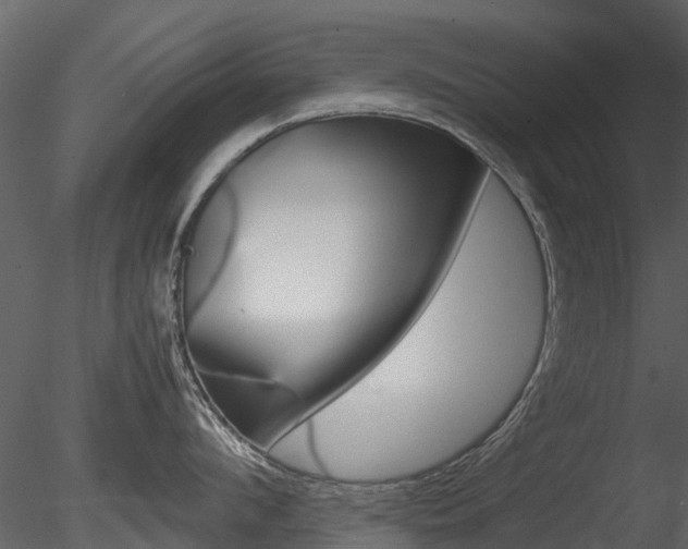 X0000085730912200703160833