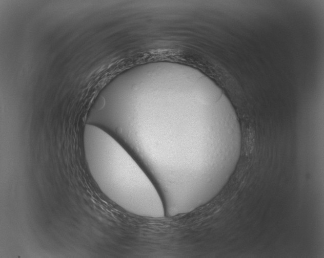 X0000085730917200703160832