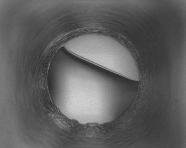 X0000085730919200703160832