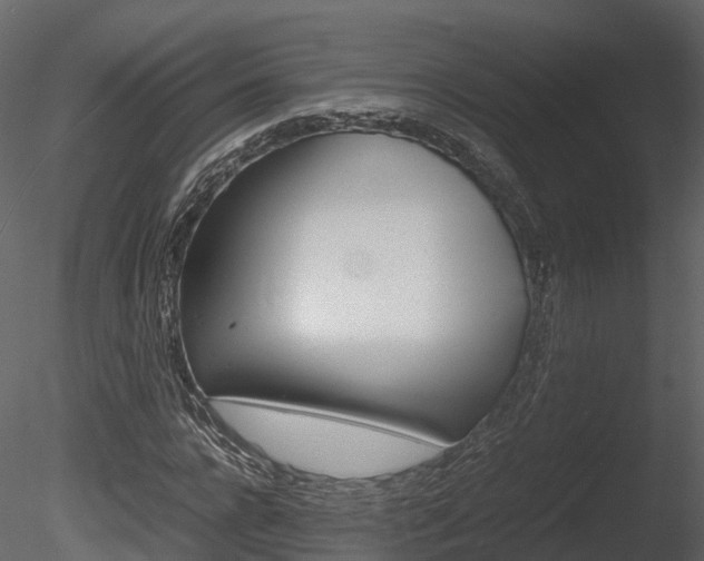 X0000085730920200703160832