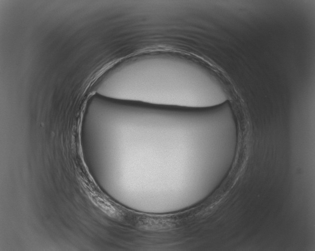 X0000085730921200703160832