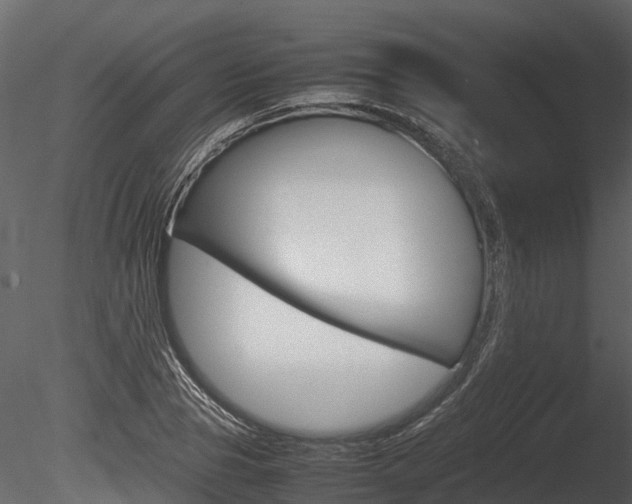 X0000085730929200703160832