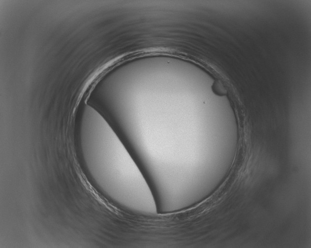 X0000085730933200703160833