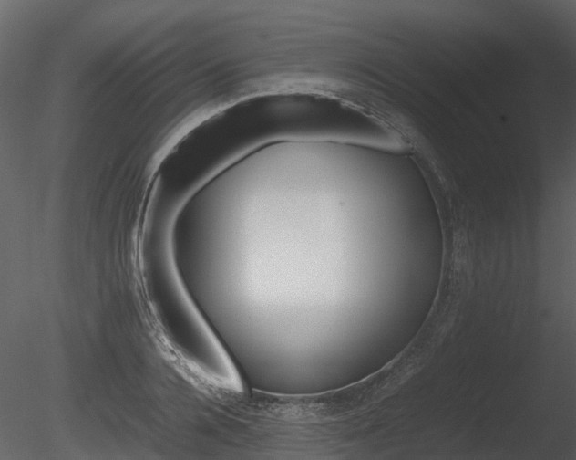 X0000085730936200703160833