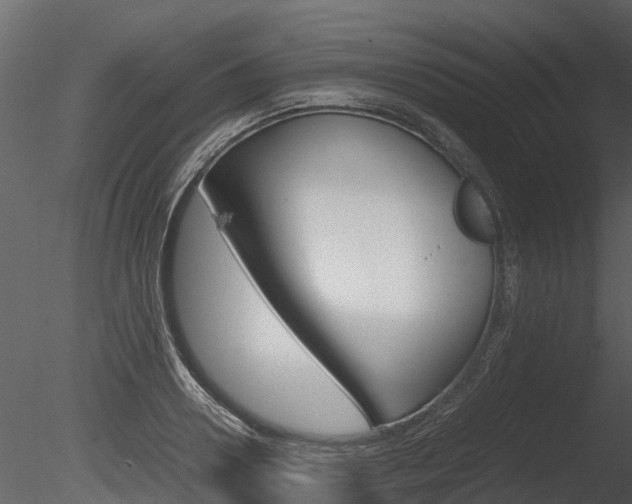 X0000085730938200703160833
