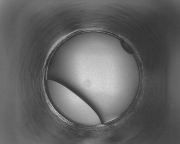 X0000085730941200703160833