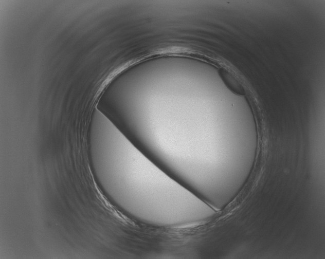 X0000085730945200703160833