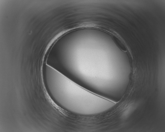 X0000085730947200703160833