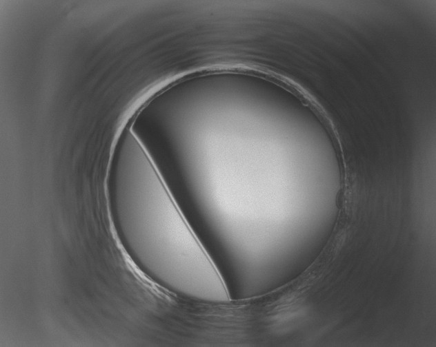 X0000085730951200703160833