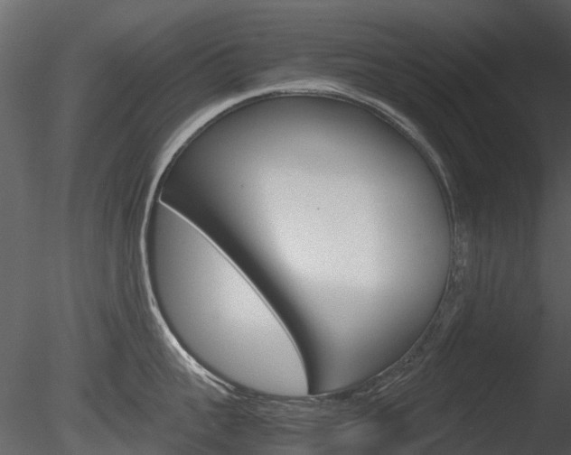 X0000085730959200703160833