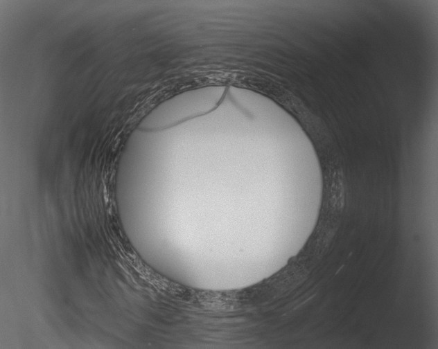 X0000085730962200703160832