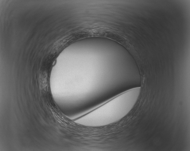 X0000085730963200703160832