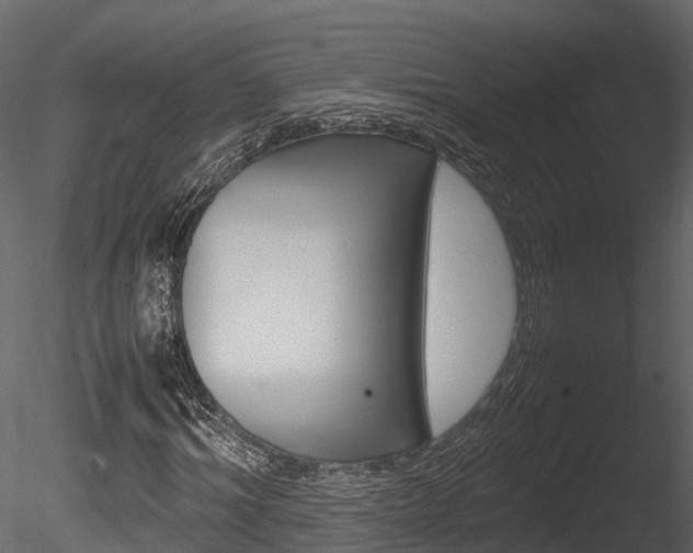 X0000085730964200703160832