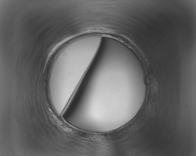 X0000085730971200703160832