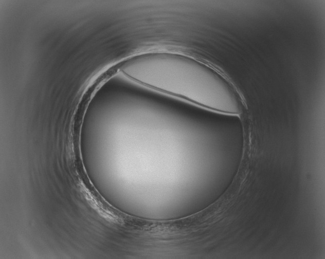 X0000085730972200703160832