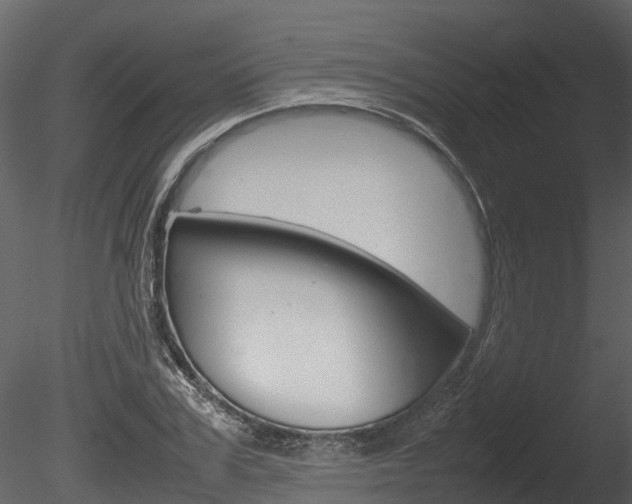 X0000085730979200703160832