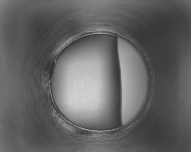 X0000085730985200703160832