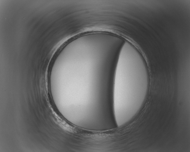 X0000085730988200703160832