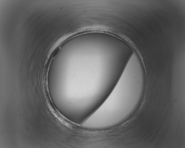 X0000085730989200703160832