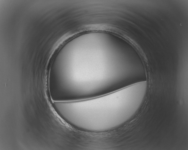 X0000085730992200703160832