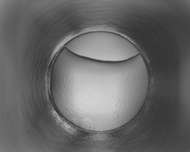 X0000085730998200703160832