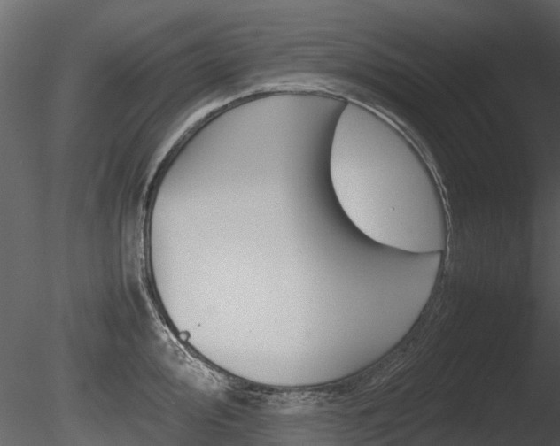 X0000085731000200703160831