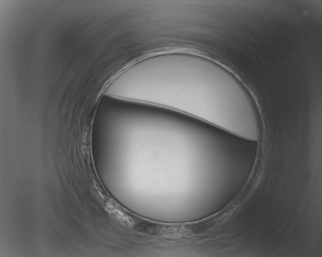 X0000085731001200703160831