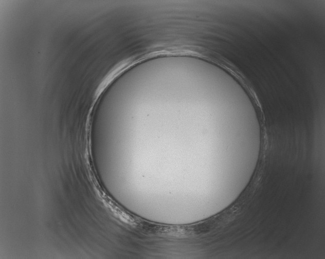 X0000085731002200703160831