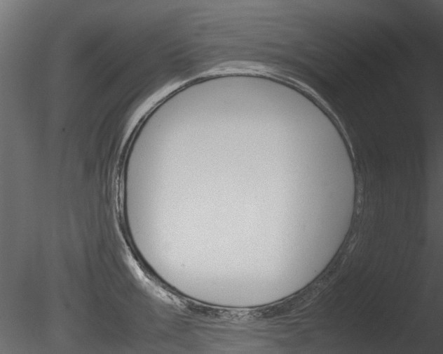 X0000085731003200703160831