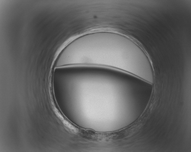 X0000085731005200703160831