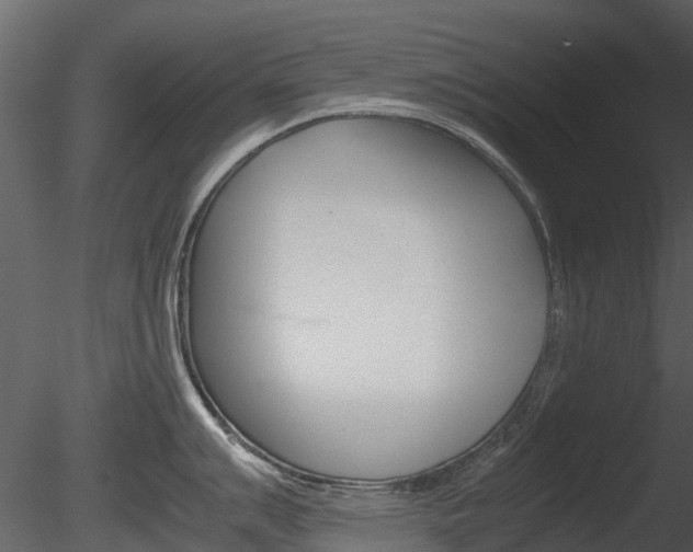 X0000085731007200703160831
