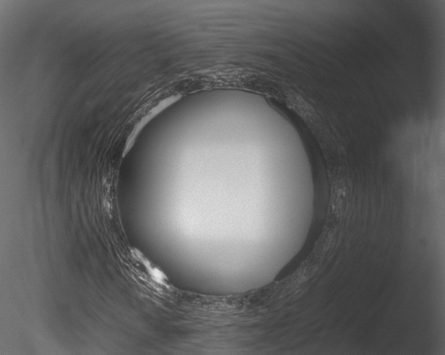 X0000085731010200703160831