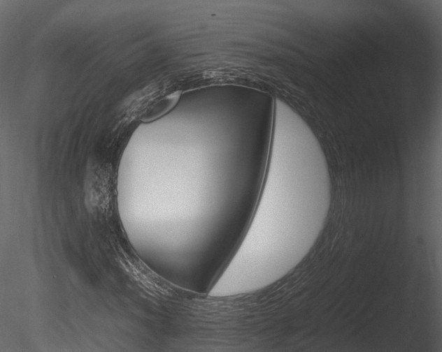 X0000085731012200703160831