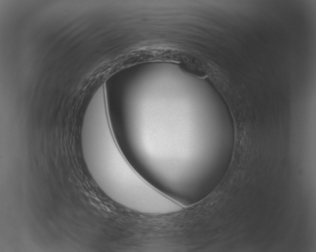 X0000085731014200703160831