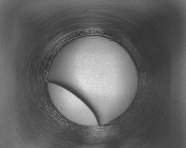 X0000085731015200703160831