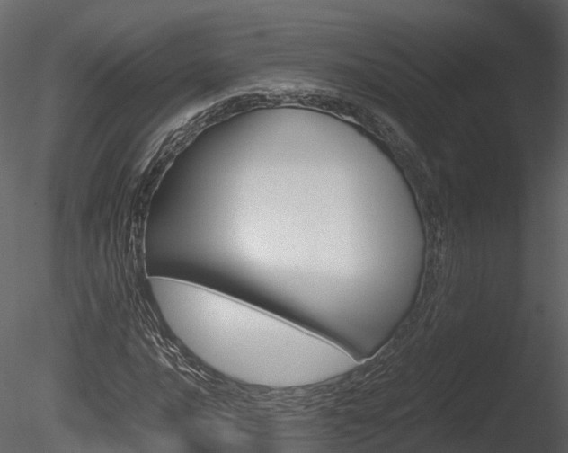 X0000085731016200703160831