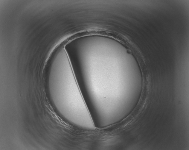 X0000085731021200703160831