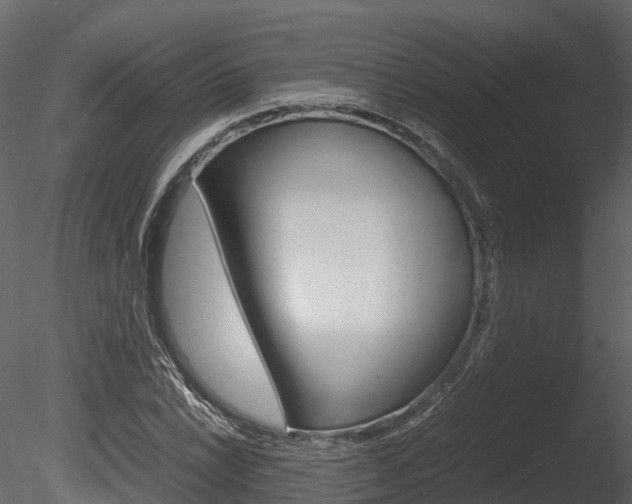 X0000085731022200703160831