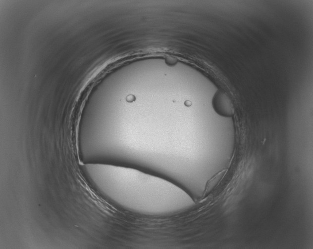X0000085731023200703160831