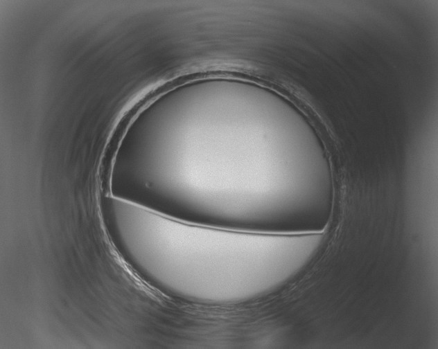 X0000085731024200703160831